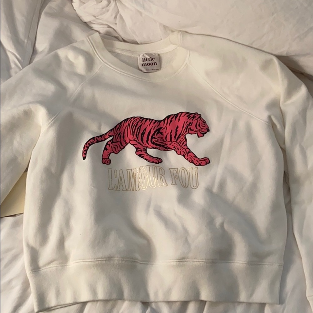 Aritzia little moon cropped sweatshirt